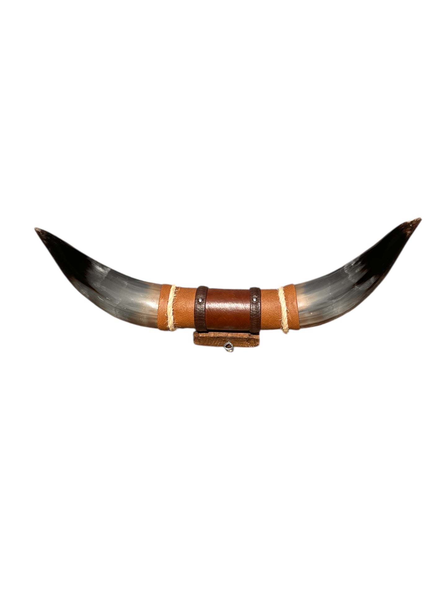 Bull Boss Taurus Hörner, authentisch klein (schwarz und weiß)