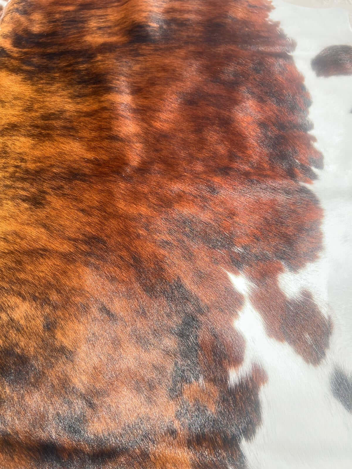 Brindle gestreifte echte Kuhfellteppich XL