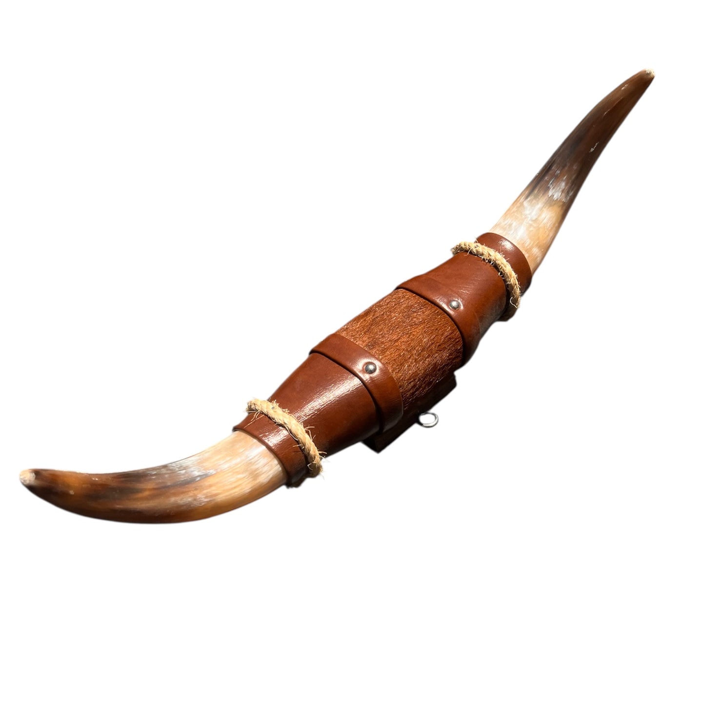 Authentische Horn Dekoration Boss Taurus (50cm)