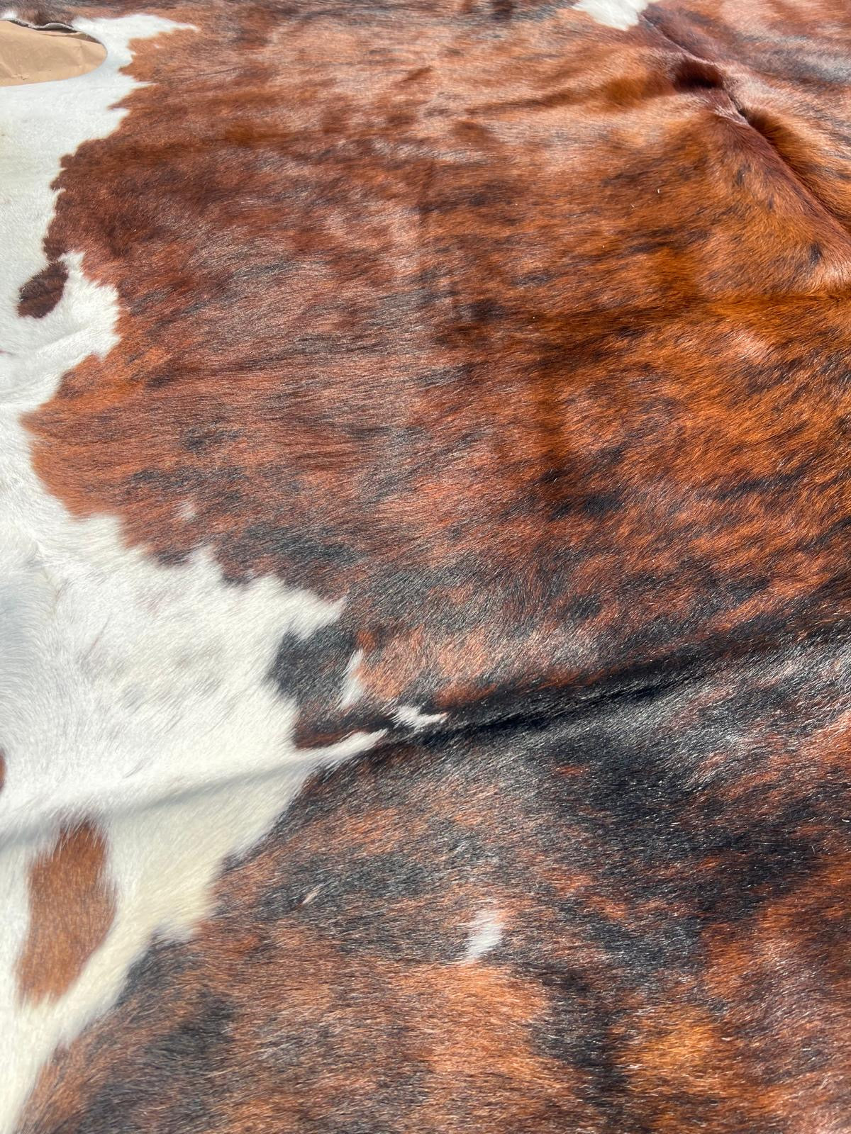Brindle gestreifte echte Kuhfellteppich XL