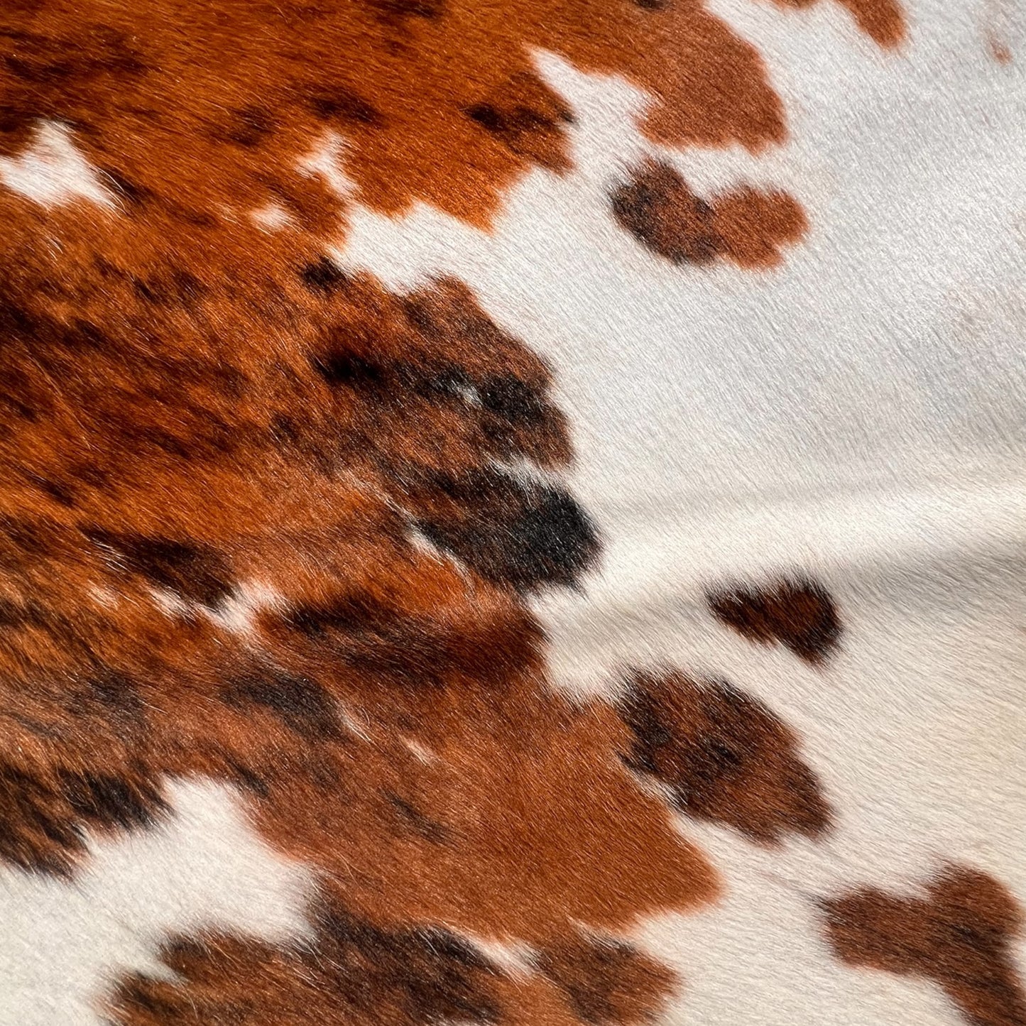 Brindle gestreifte echte Kuhfellteppich XL