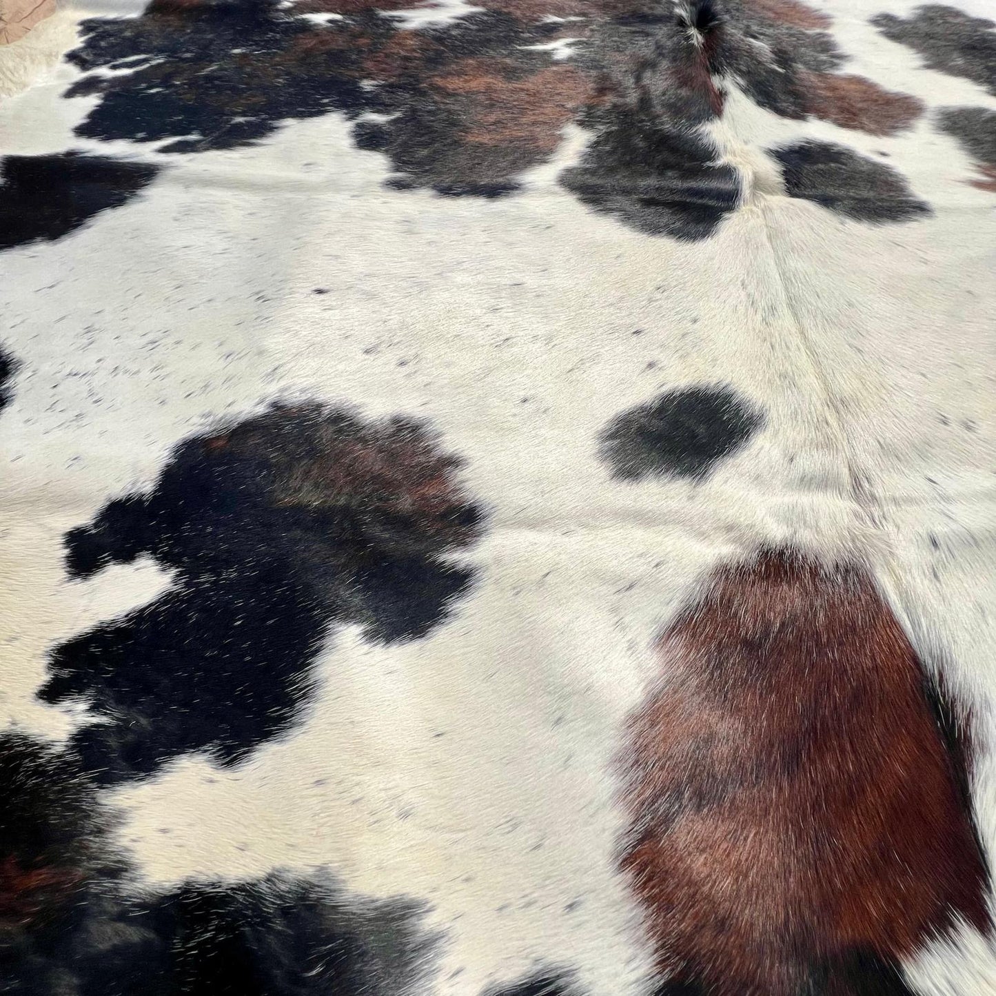 Cowhide Rug Genuine Tricolor XL (190 x 230cm)