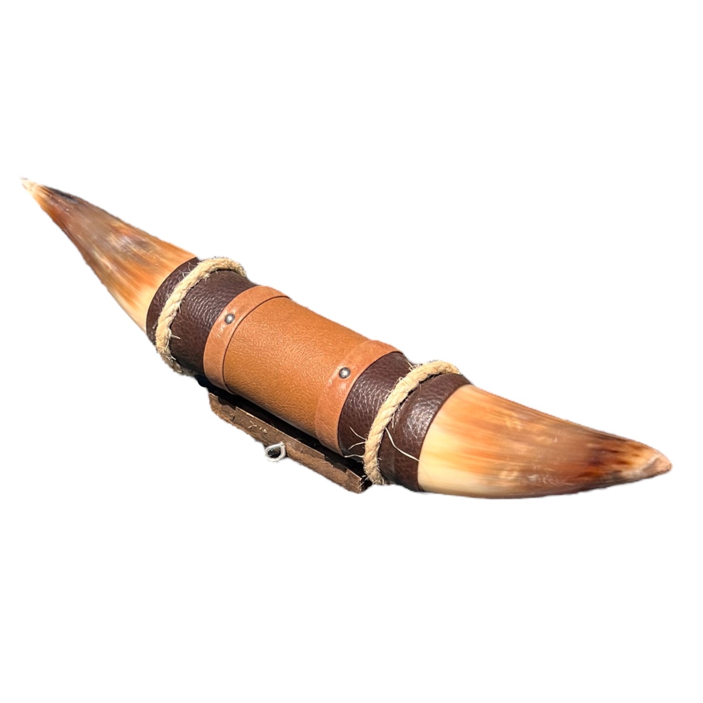 Authentische Horn Dekoration Boss Taurus (50cm)