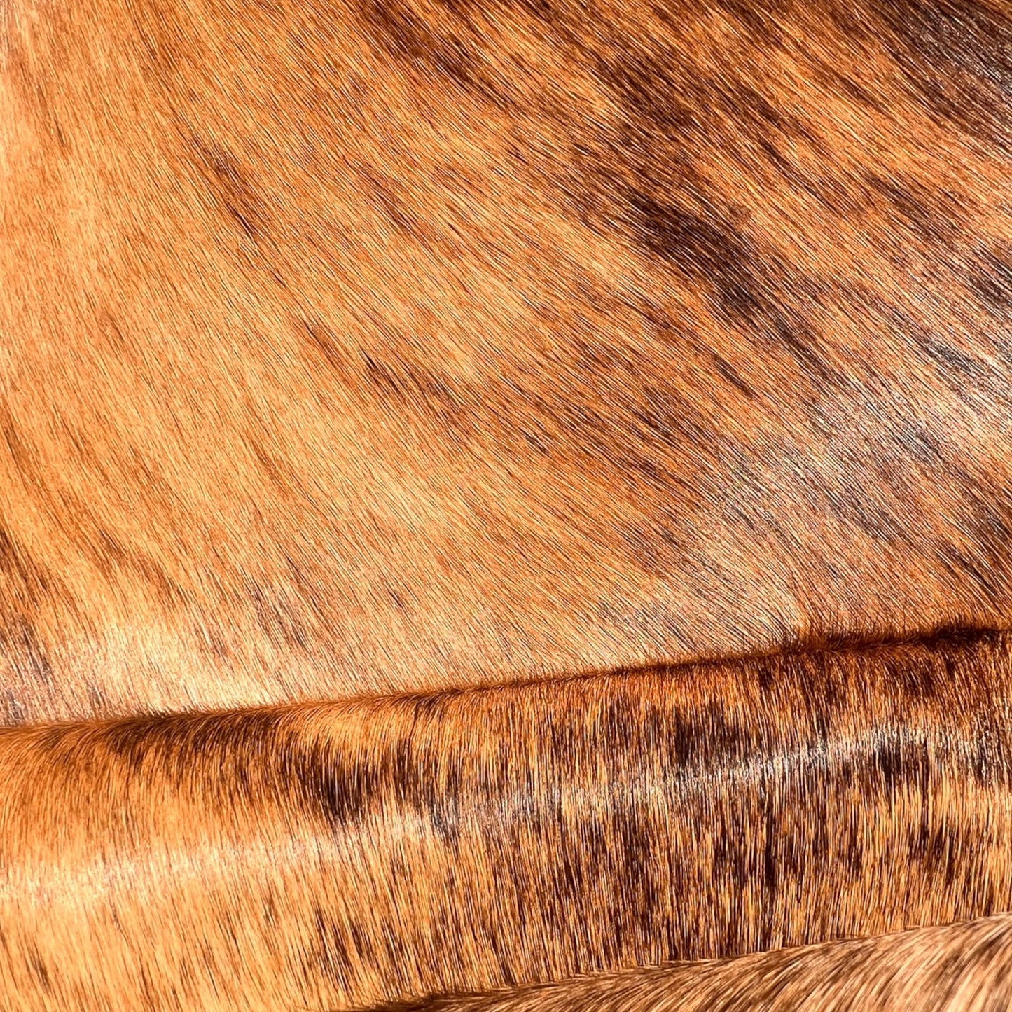 Brindle gestreifte echte Kuhfellteppich XL