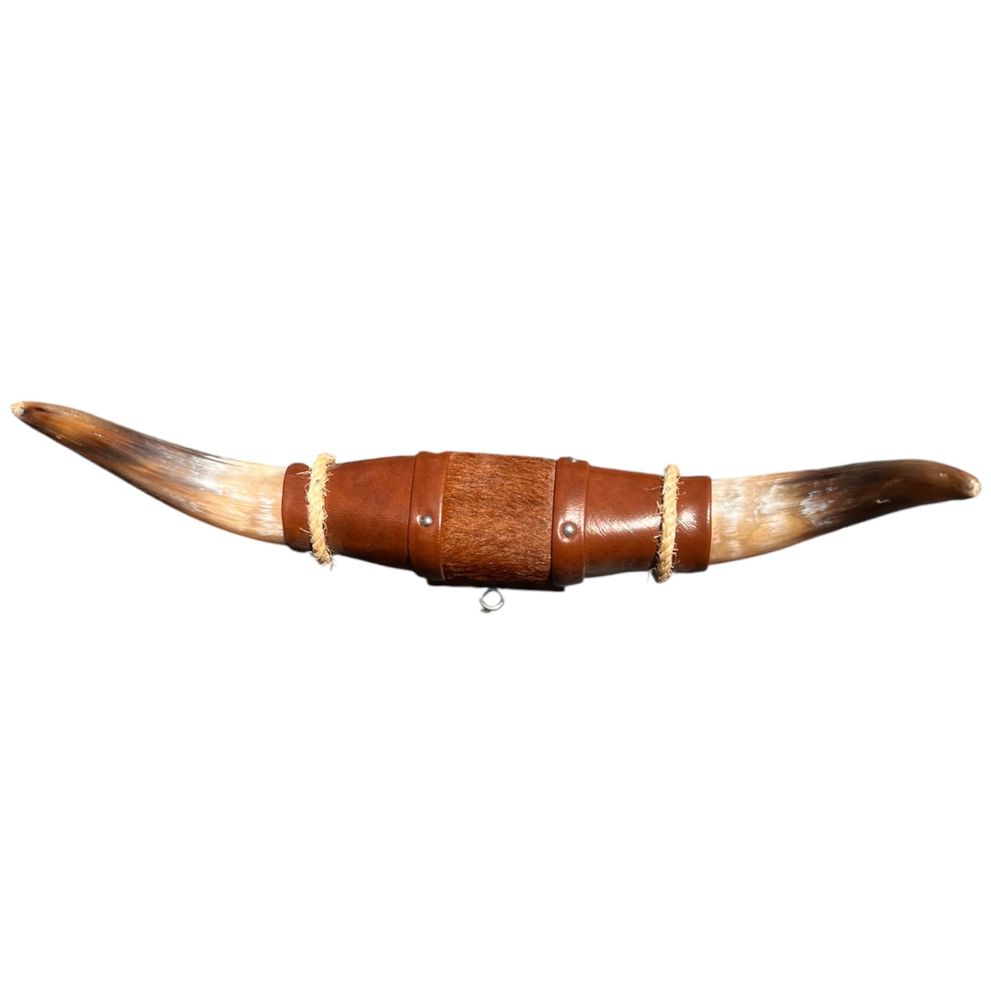 Authentische Horn Dekoration Boss Taurus (50cm)