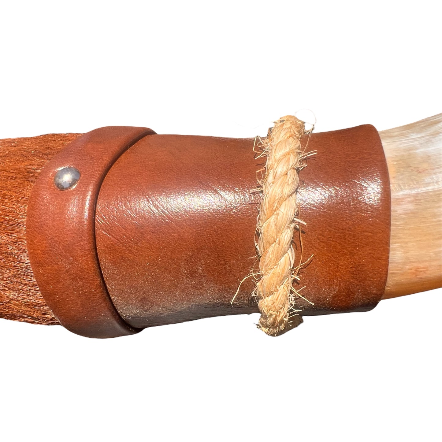 Authentische Horn Dekoration Boss Taurus (50cm)