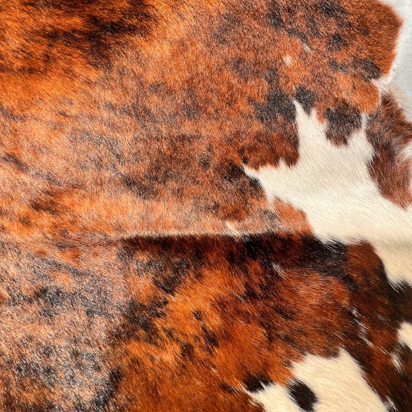 Brindle gestreifte echte Kuhfellteppich XL