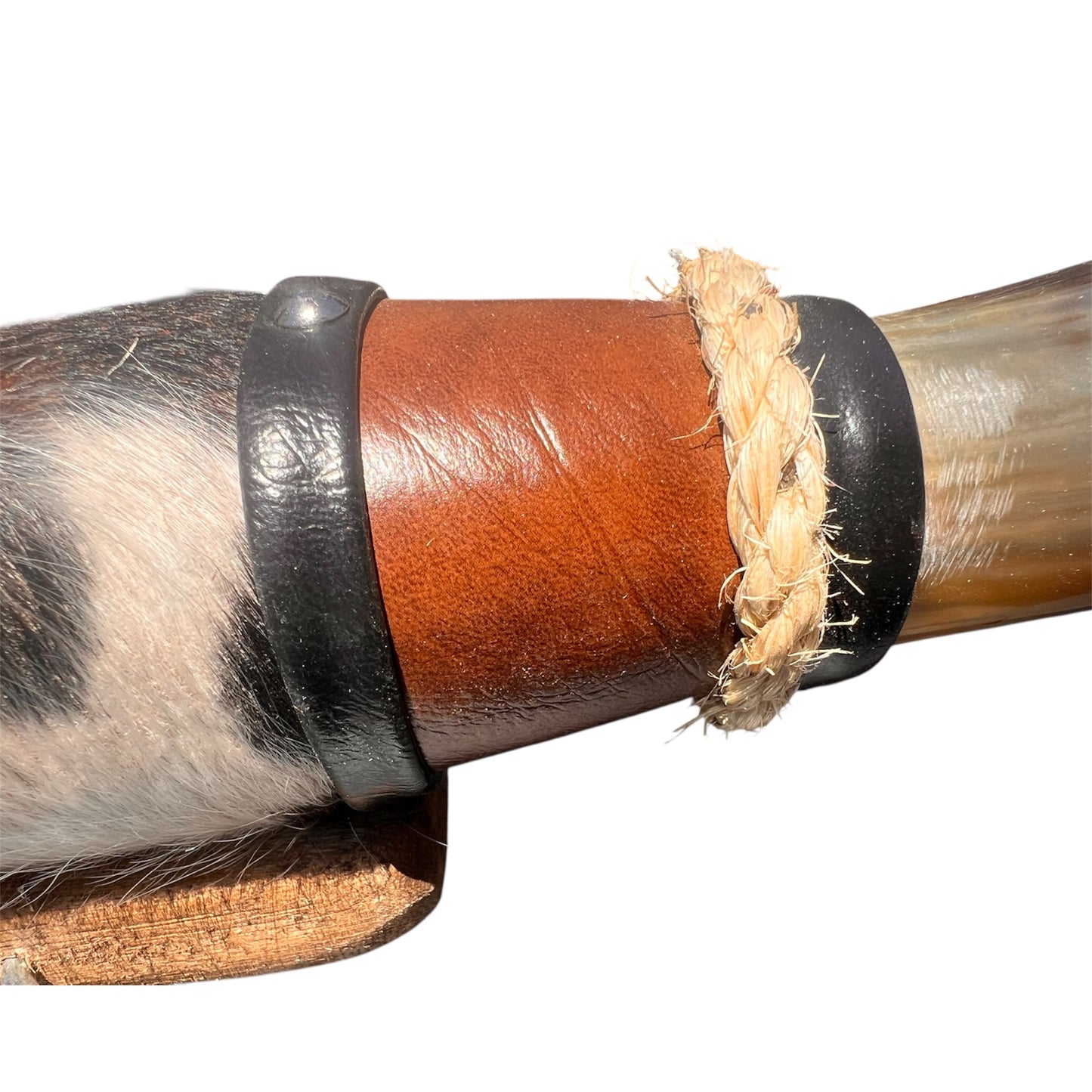 Authentische Horn Dekoration Boss Taurus (50cm)