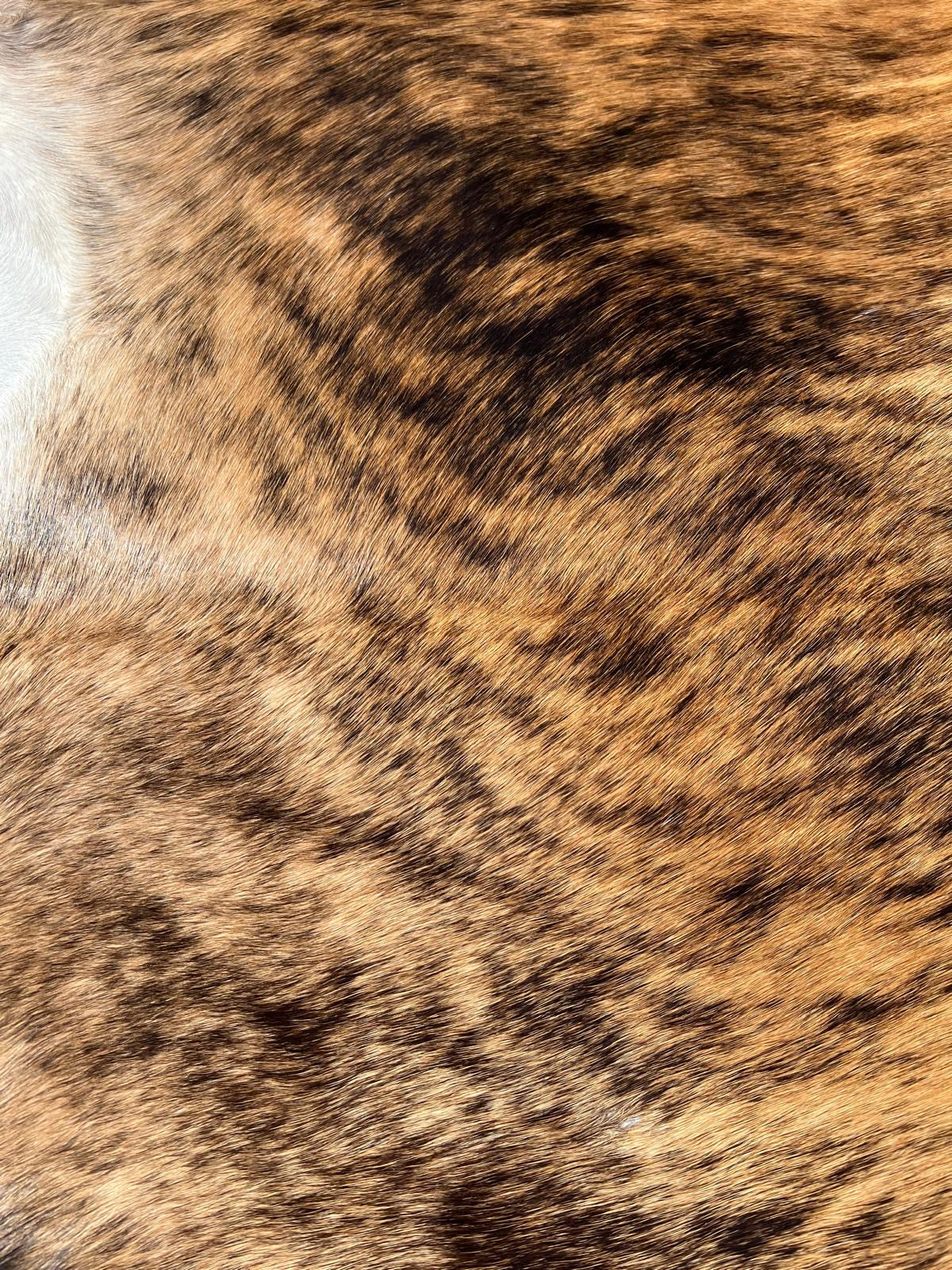 Alfombra de Piel Auténtica de Vaca Brindle Atigrada XL