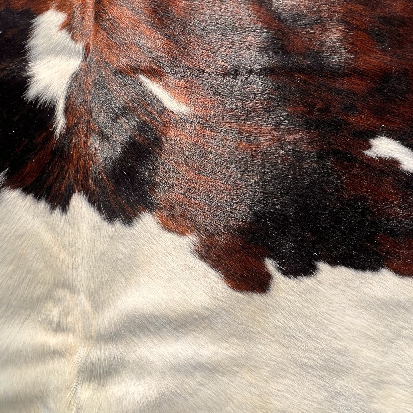 Tricolor Kuhfell Echtleder Teppich XL