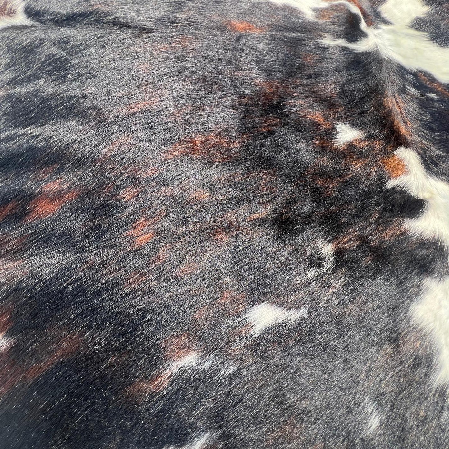 Cowhide Rug Genuine Tricolor XL (190 x 230cm)