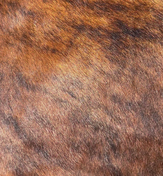 Brindle gestreifte echte Kuhfellteppich XL