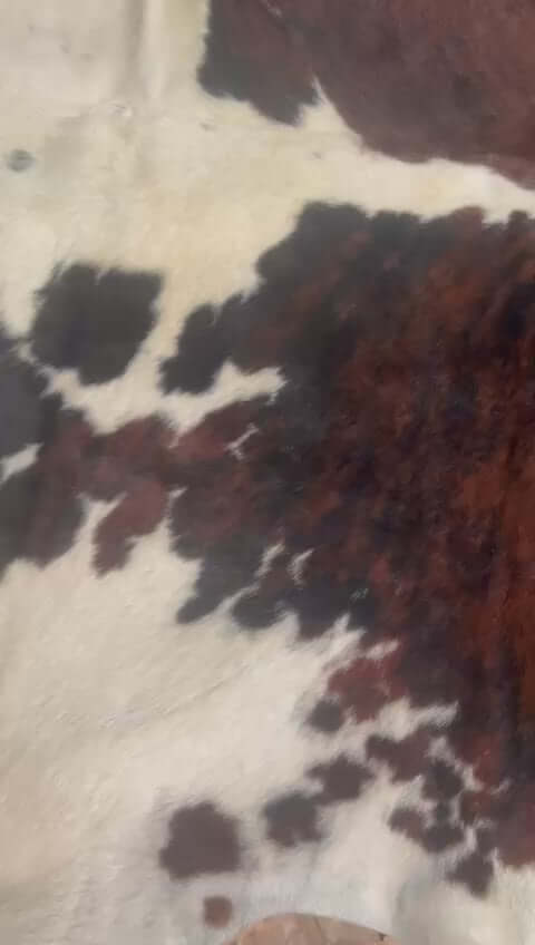 Brindle gestreifte echte Kuhfellteppich XL